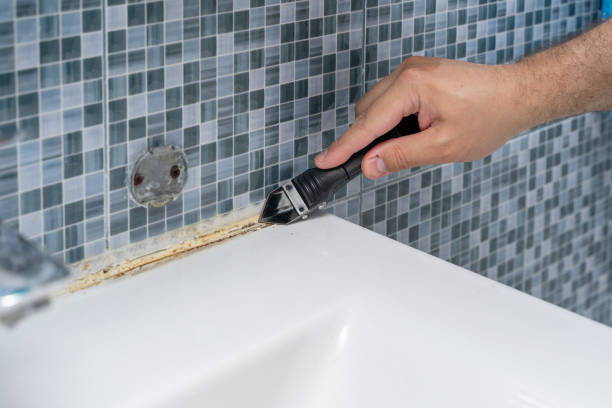 Professional Mold Removal in Snellville, GA